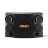 Loa BMB CSE 310SE